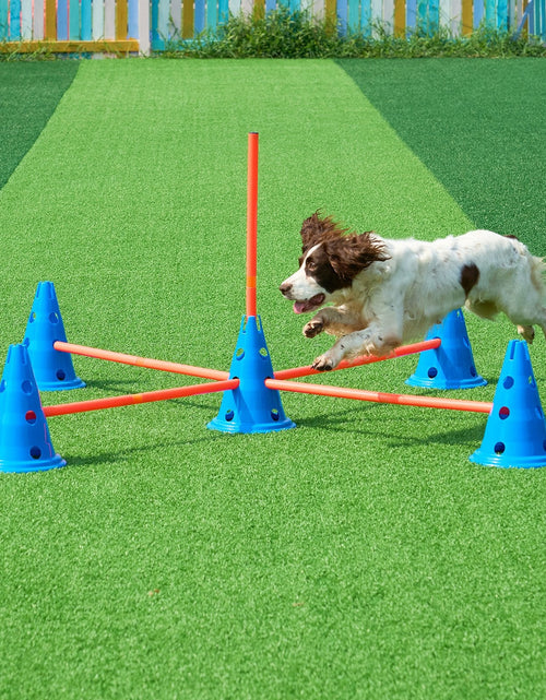 Load image into Gallery viewer, VEVOR Dog Agility Hurdle Cone Set 6 PCS Kit-12 Xcones 6 Xagility Rods with Bag
