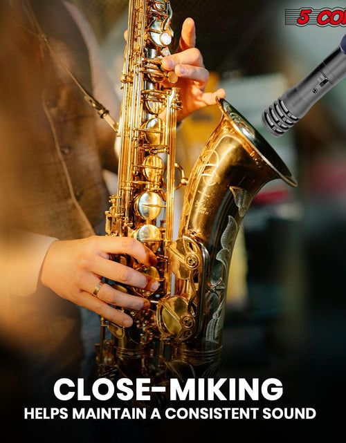 Load image into Gallery viewer, 5Core Instrument Microphone Professional XLR Cardioid Pencil Stick Condenser Mic Black
